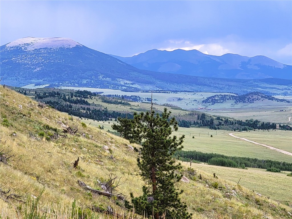 a view of a lush green hillside and mountains