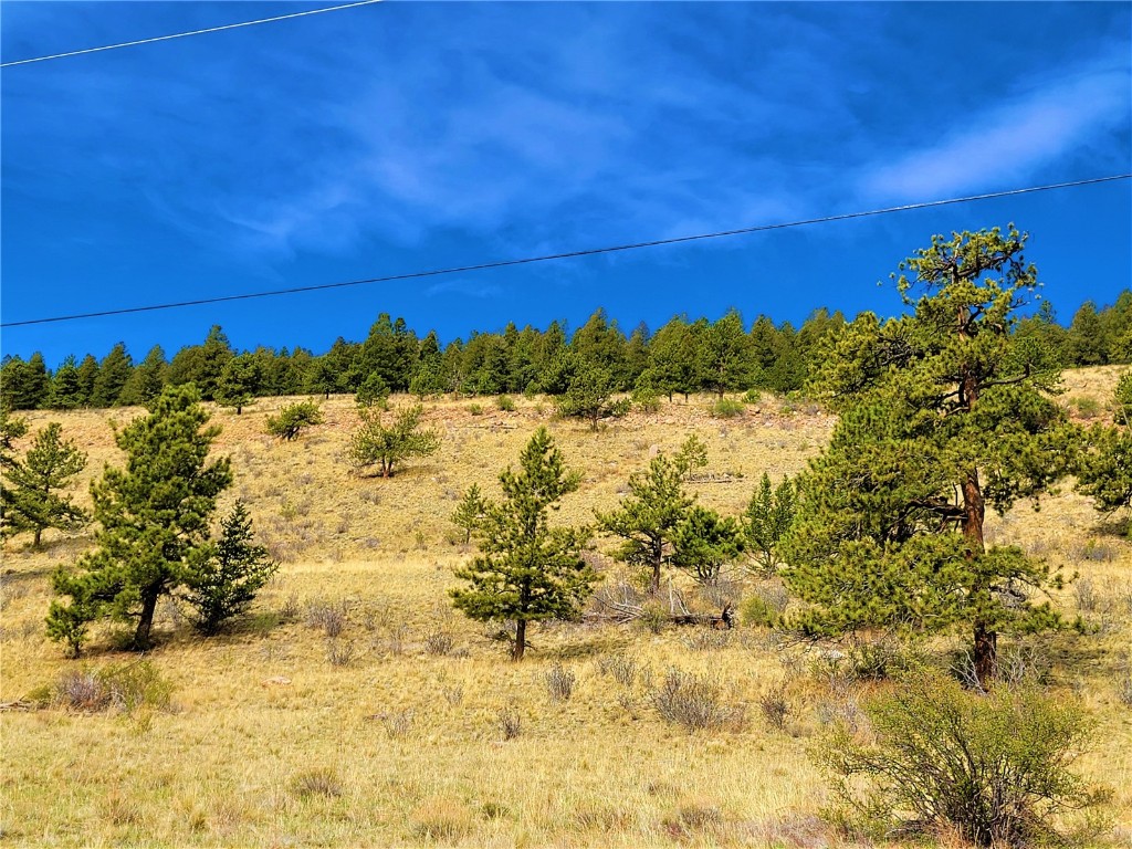 3481 Redhill Road Fairplay, CO 80440 - Photo 11 of 28 a view of a large yard with wooden fence