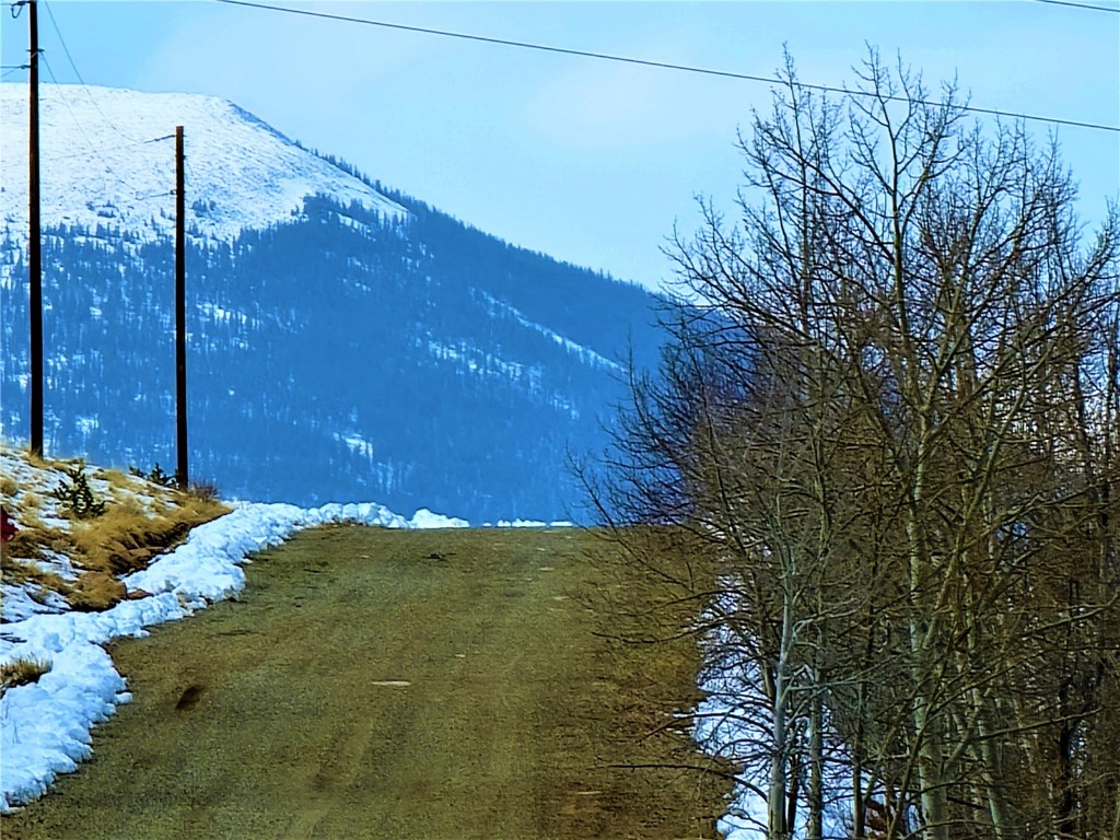 3481 Redhill Road Fairplay, CO 80440 - Photo 11 of 49 a view of a pathway with a yard