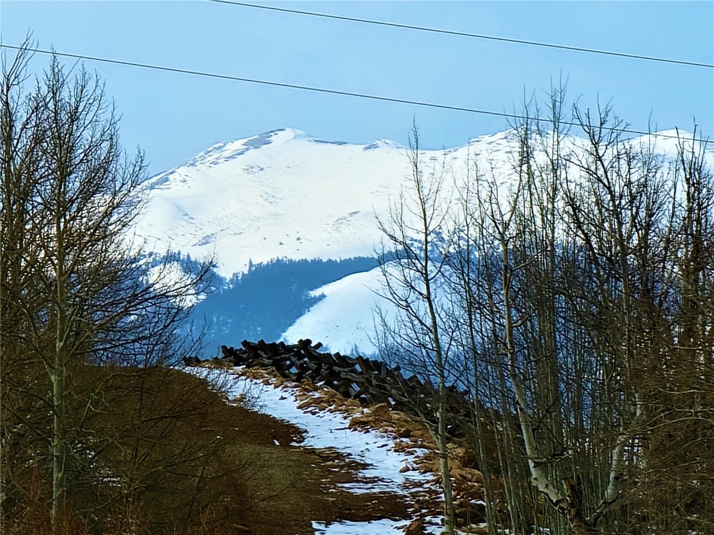 3481 Redhill Road Fairplay, CO 80440 - Photo 12 of 49