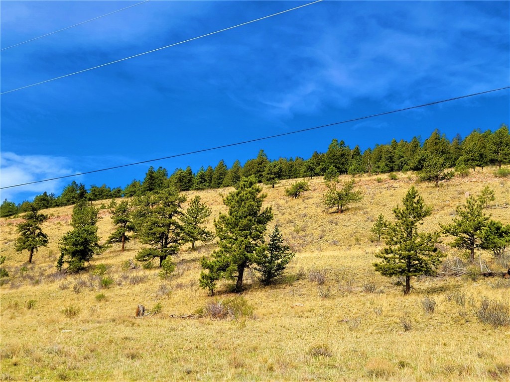 3481 Redhill Road Fairplay, CO 80440 - Photo 12 of 28 a view of ocean