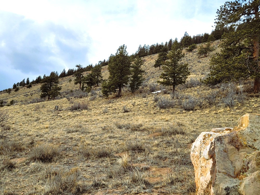 3481 Redhill Road Fairplay, CO 80440 - Photo 14 of 49 a view of a dry yard with wooden fence