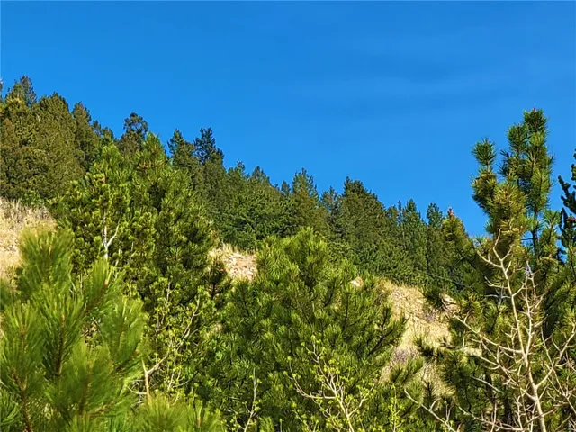 a view of a backyard of the house