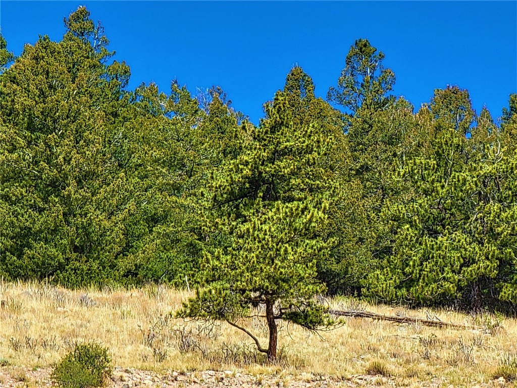 3481 Redhill Road Fairplay, CO 80440 - Photo 17 of 49