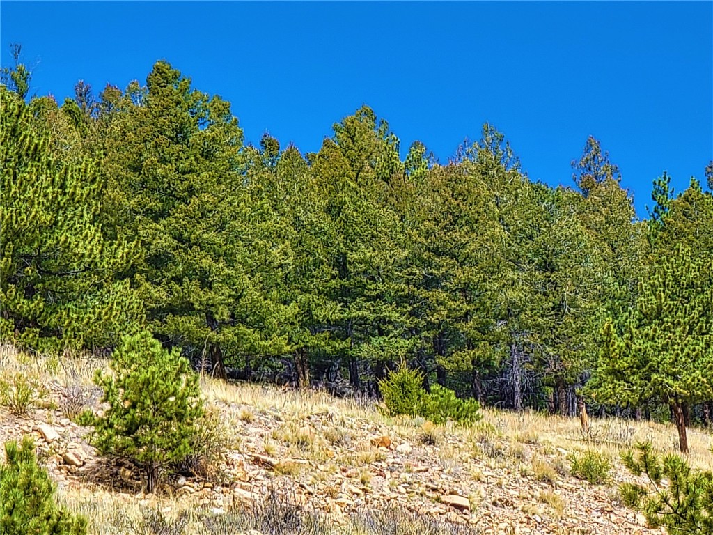 3481 Redhill Road Fairplay, CO 80440 - Photo 18 of 28 a view of a yard