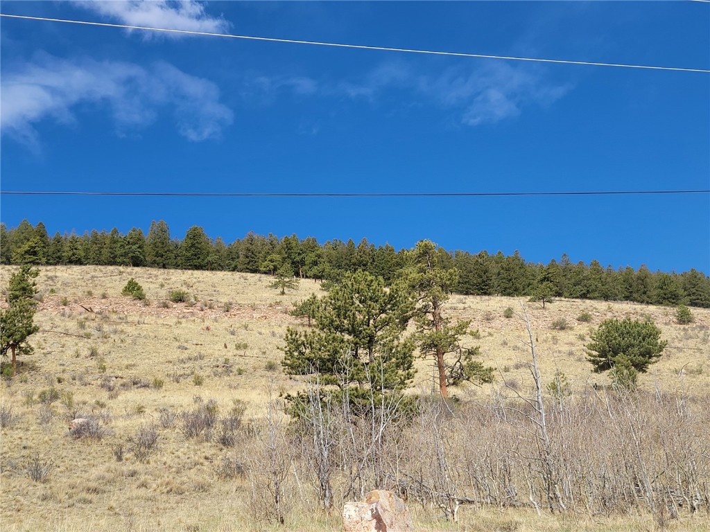 3481 Redhill Road Fairplay, CO 80440 - Photo 18 of 49 a view of ocean view