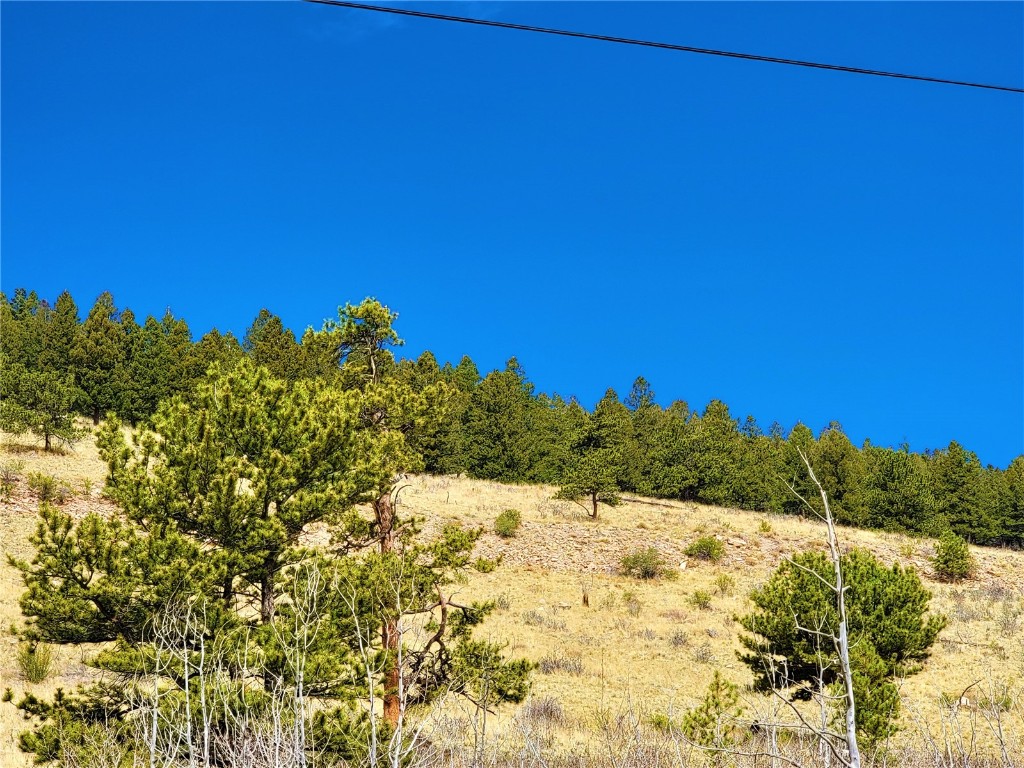 3481 Redhill Road Fairplay, CO 80440 - Photo 20 of 28 a view of a large tree next to a large tree