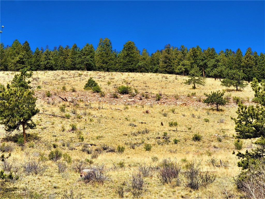 3481 Redhill Road Fairplay, CO 80440 - Photo 21 of 28 a view of a yard with a snow