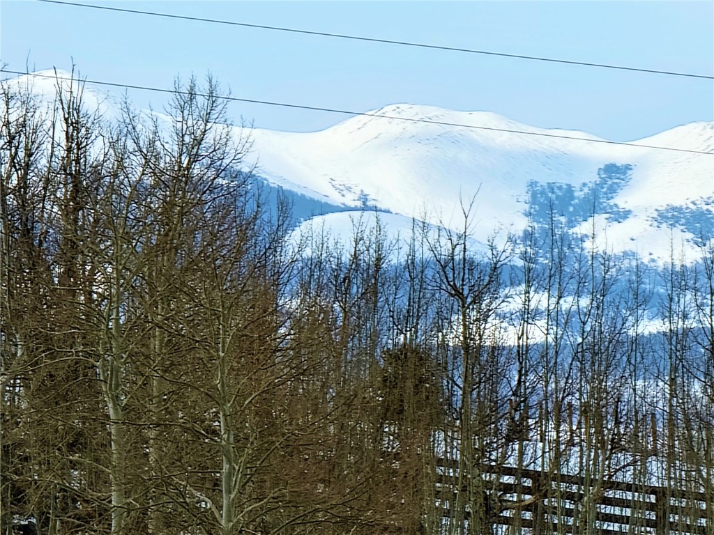 3481 Redhill Road Fairplay, CO 80440 - Photo 26 of 28 a view of a houses