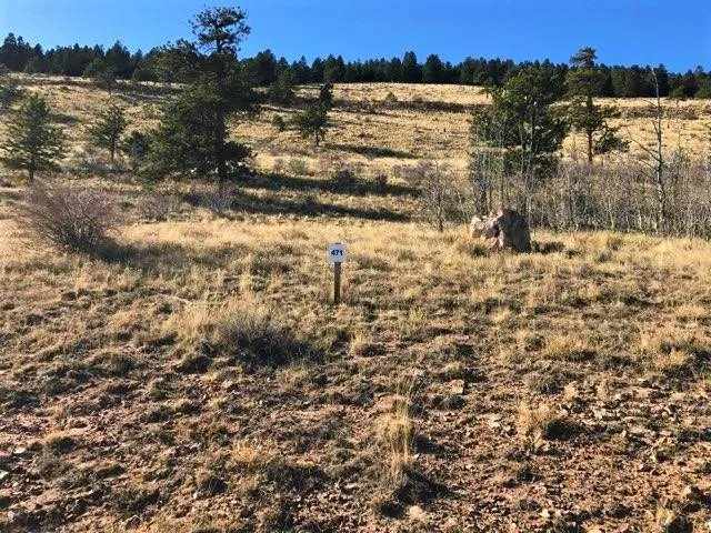 $72,000 | 3481 Redhill Road, Fairplay, CO 80440