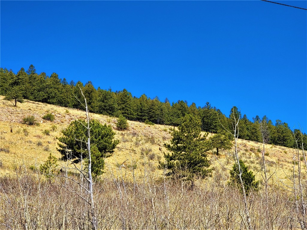 3481 Redhill Road Fairplay, CO 80440 - Photo 30 of 49 a view of ocean view