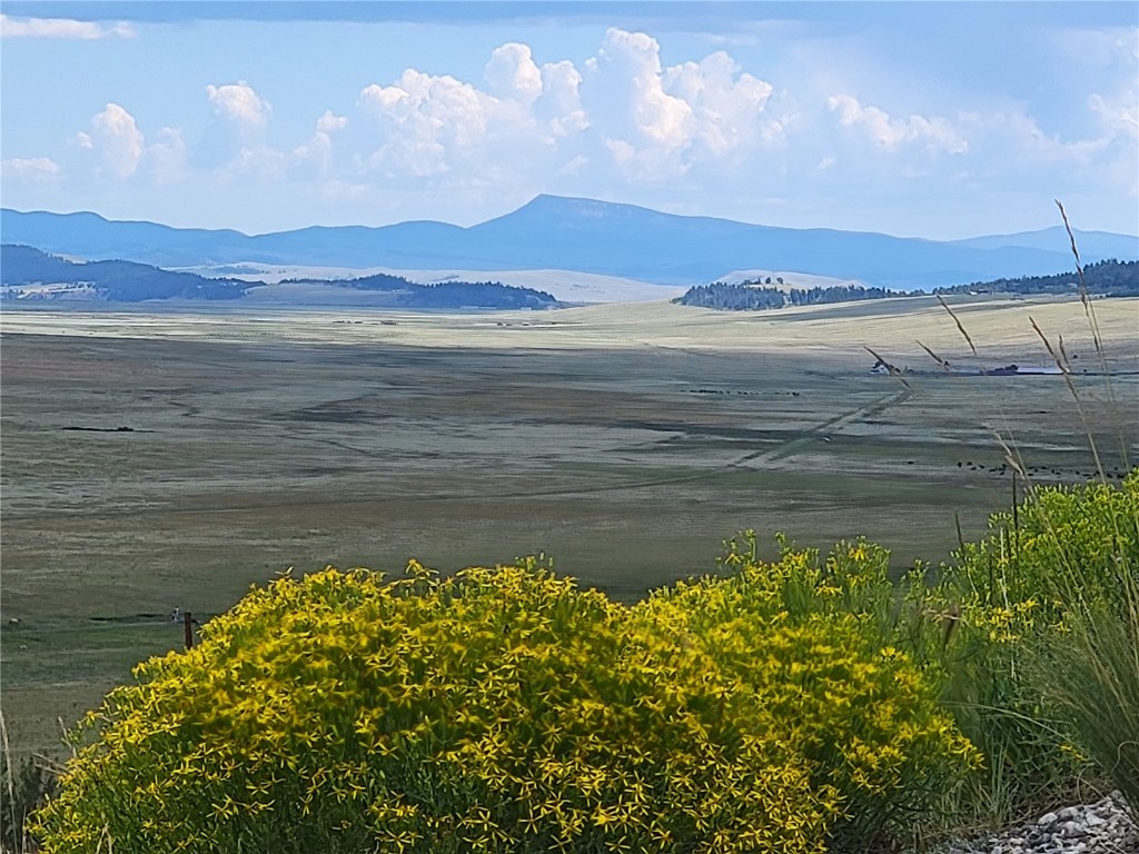 3481 Redhill Road Fairplay, CO 80440 - Photo 3 of 49 a view of ocean view