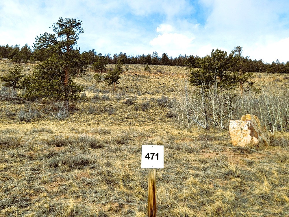 3481 Redhill Road Fairplay, CO 80440 - Photo 34 of 49