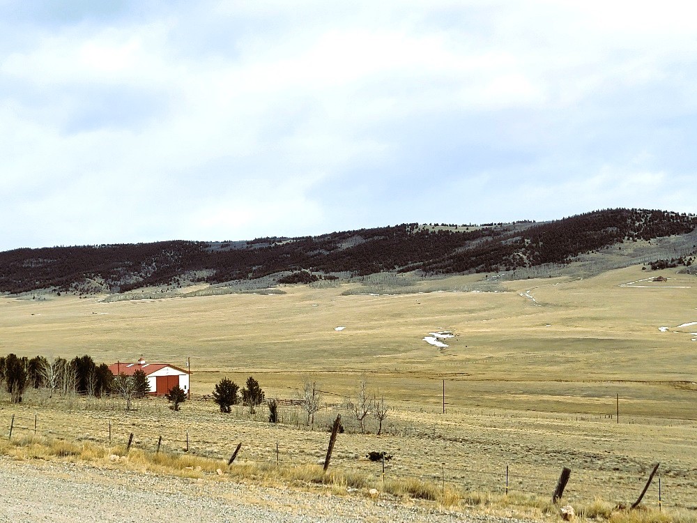 3481 Redhill Road Fairplay, CO 80440 - Photo 35 of 49