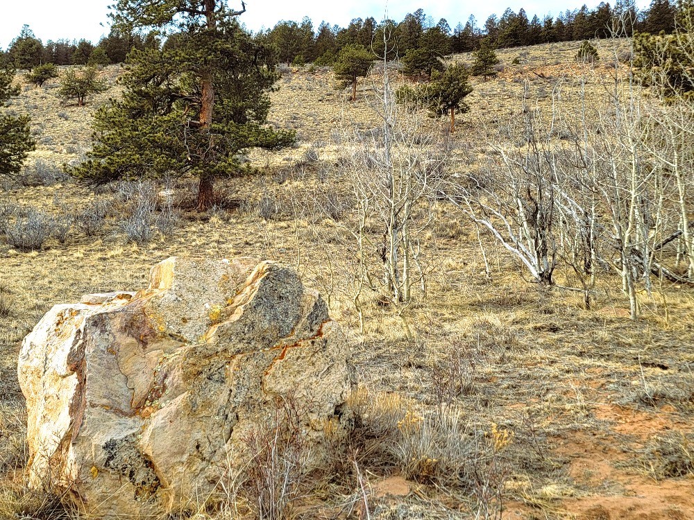 3481 Redhill Road Fairplay, CO 80440 - Photo 38 of 49 a view of a yard