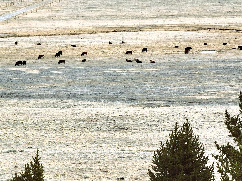 3481 Redhill Road Fairplay, CO 80440 - Photo 39 of 49 a view of water heater
