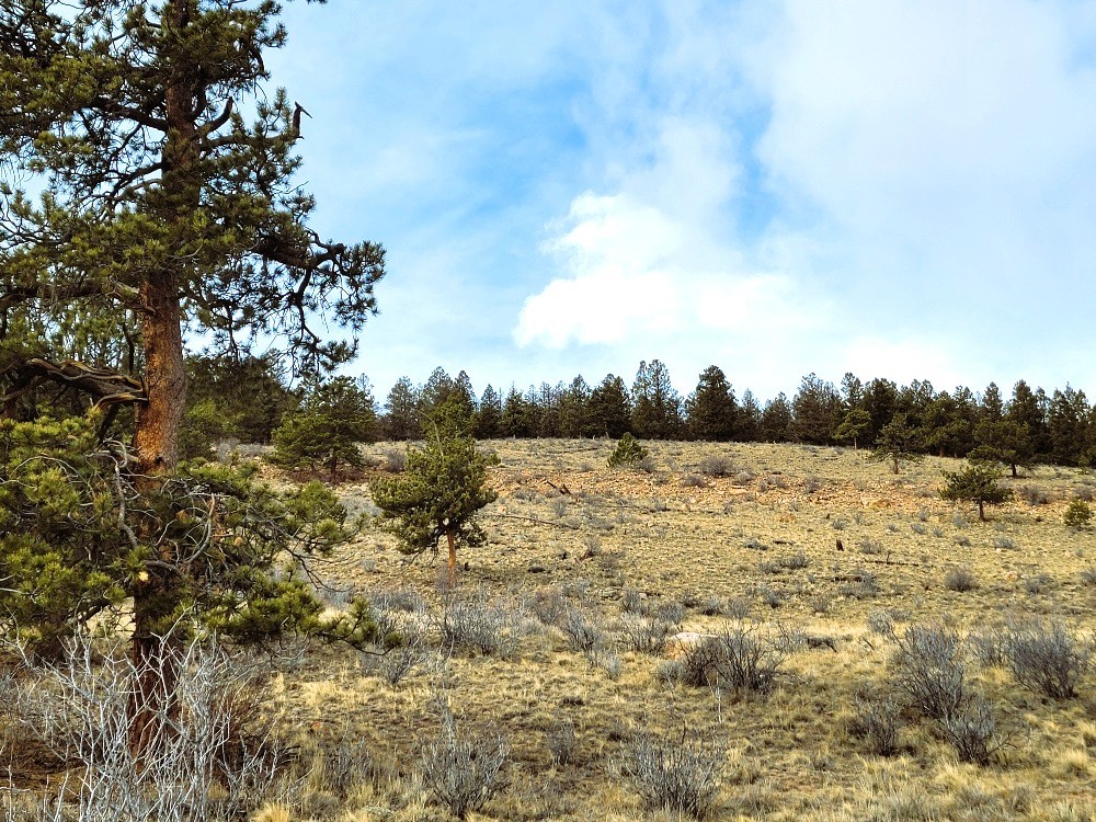 3481 Redhill Road Fairplay, CO 80440 - Photo 40 of 49 a view of lake