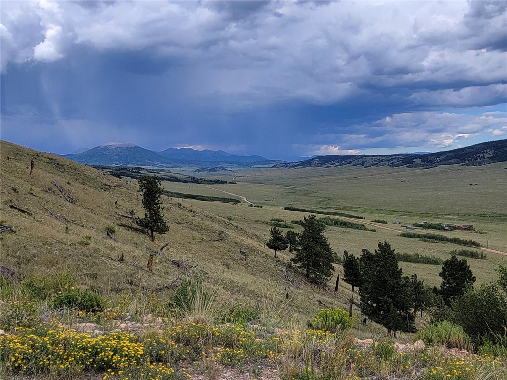 3481 Redhill Road Fairplay, CO 80440 - Photo 45 of 49 a view of an ocean and beach