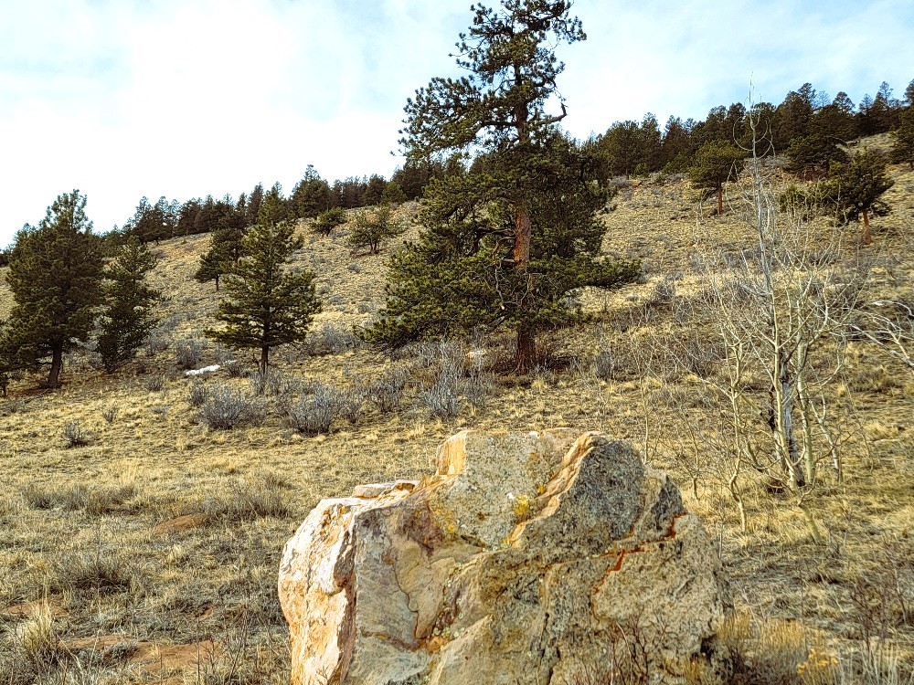 3481 Redhill Road Fairplay, CO 80440 - Photo 5 of 49 a view of ocean view