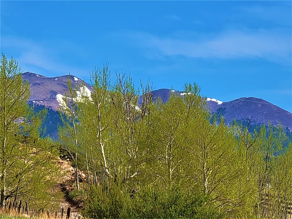 3481 Redhill Road Fairplay, CO 80440 - Photo 5 of 28 a view of a building