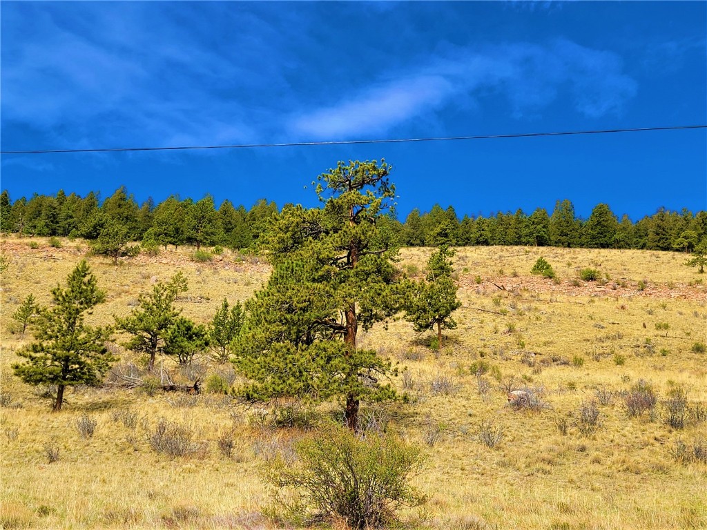 3481 Redhill Road Fairplay, CO 80440 - Photo 6 of 28