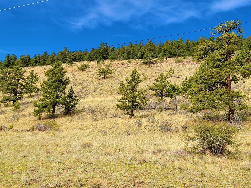 3481 Redhill Road Fairplay, CO 80440 - Photo 9 of 28 a view of ocean