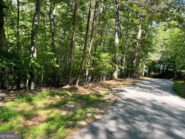 $22,000 | 0 Rizzitello Lane, Unit 5, Blairsville, GA 30512