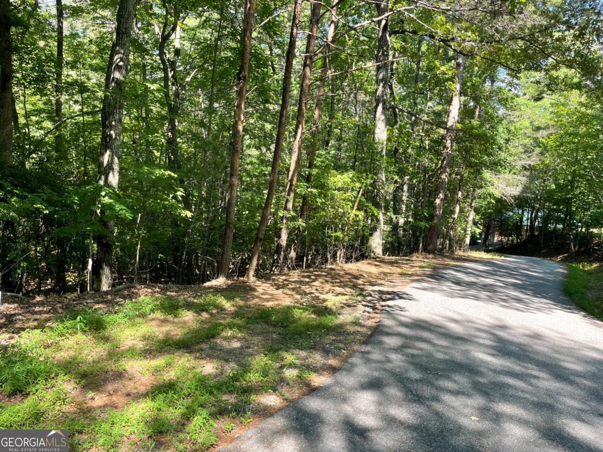 0 Rizzitello Lane, Unit 5 Blairsville, GA 30512 - Photo 1 of 4