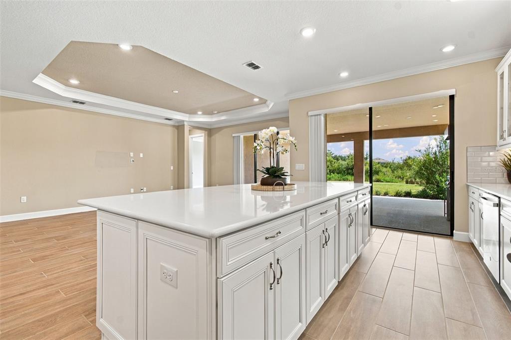 4798 Rosatti Road Wesley Chapel, FL 33543 - Photo 36 of 99 Gallery Image 36