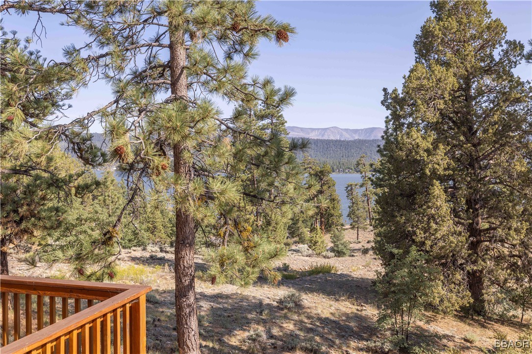 39737 Flicker Road Fawnskin, CA 92333 - Photo 11 of 49