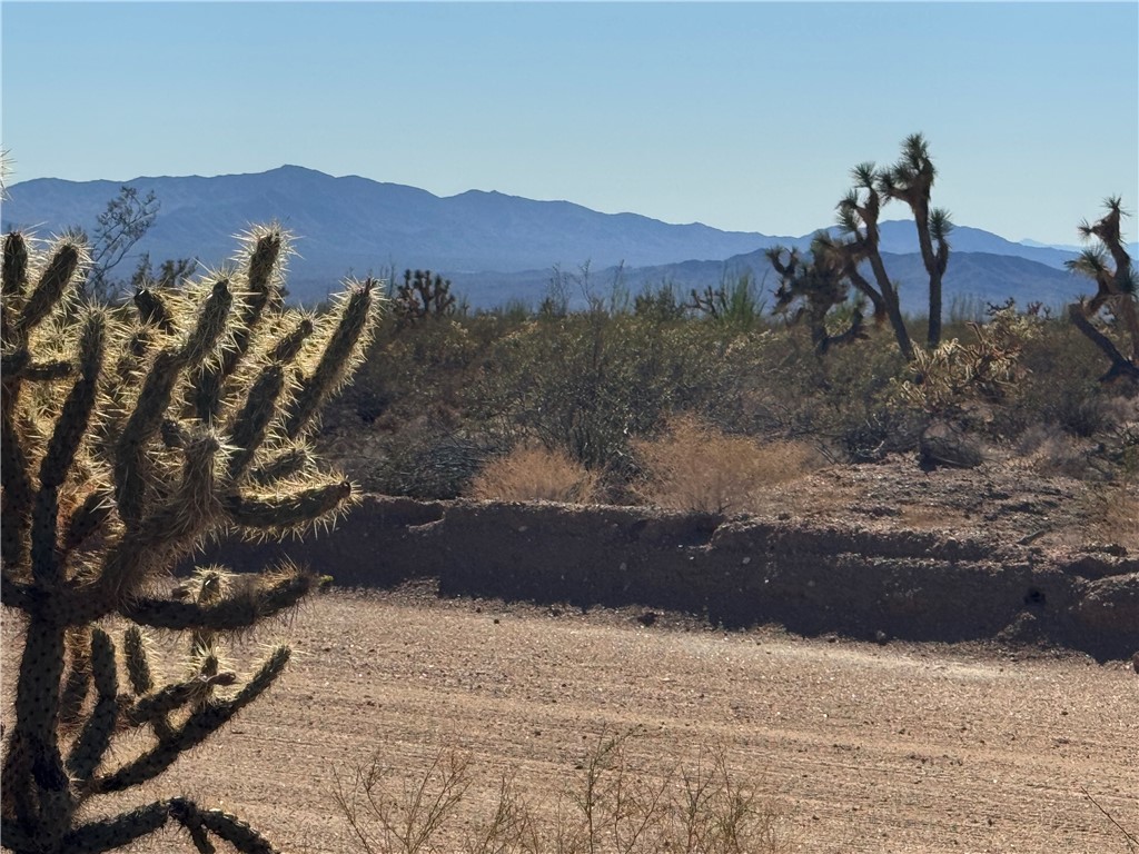242-12-015 South Sundance Kid Road Yucca, AZ 86438 - Photo 12 of 21 a view of a house with a yard