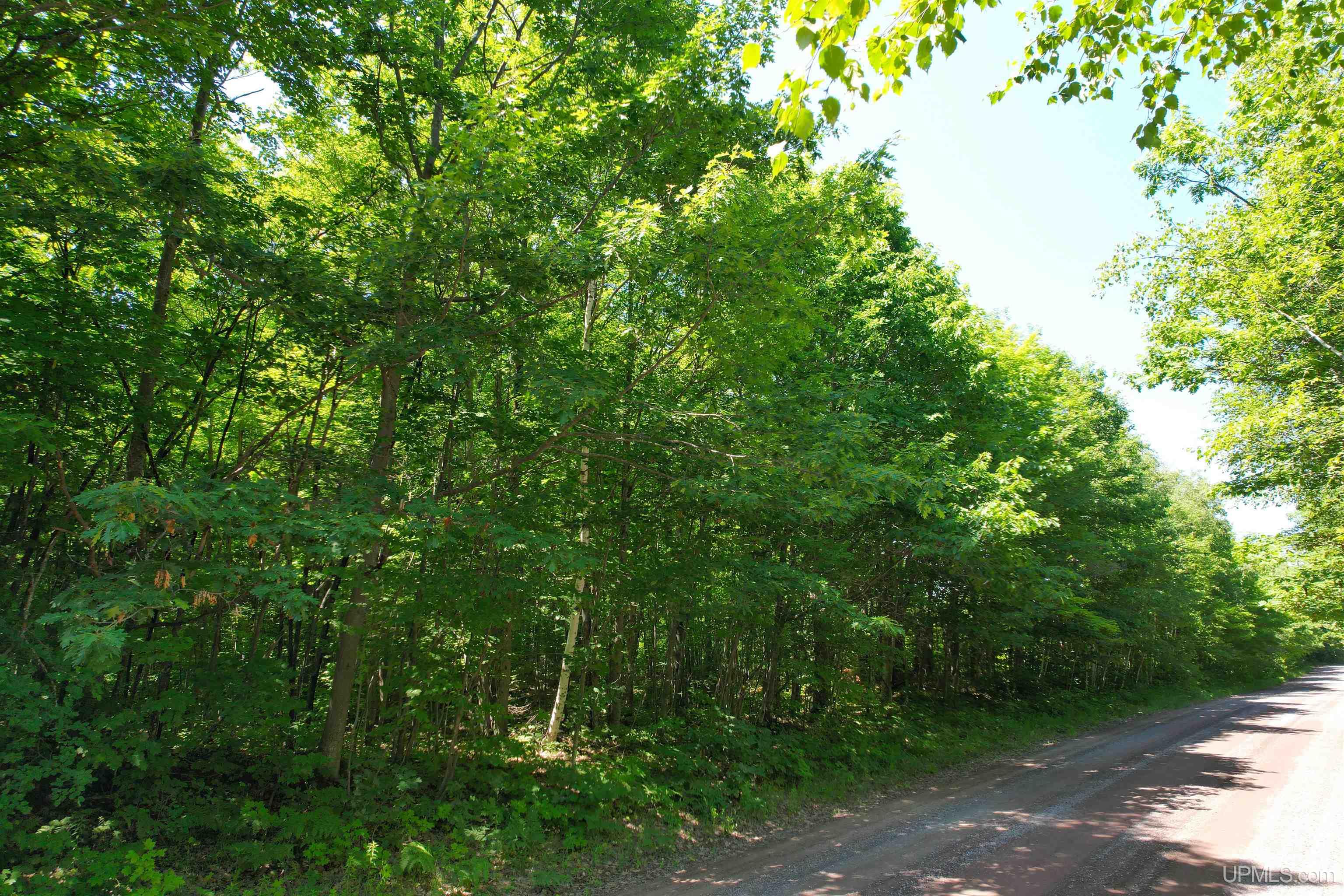 Tbd Superior Shores Road Atlantic Mine, MI 49905 - Photo 25 of 27