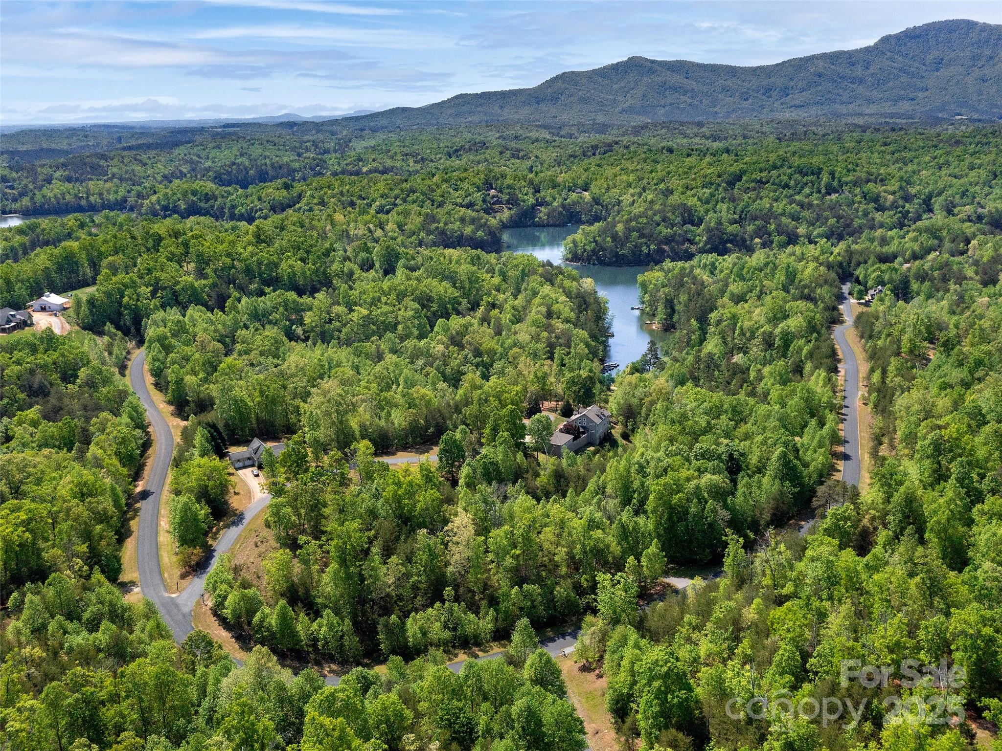 Lot 17-1 Village Park Ln Mill Spring Mill Spring, NC 28756 - Photo 19 of 20