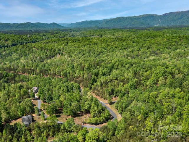 $77,900 | Lot 17-1 Village Park Ln Mill Spring, Mill Spring, NC 28756