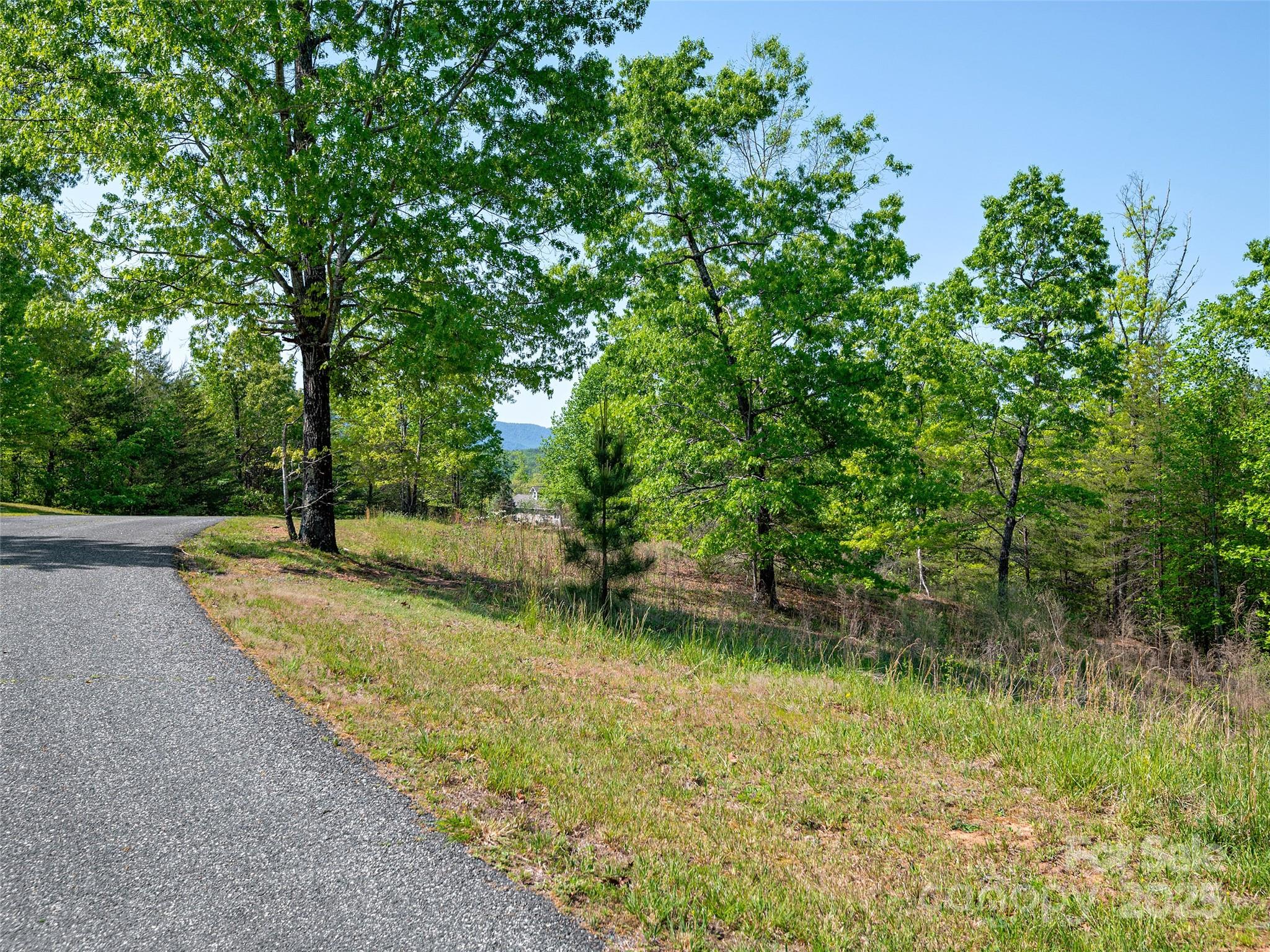 Lot 17-1 Village Park Ln Mill Spring Mill Spring, NC 28756 - Photo 6 of 20