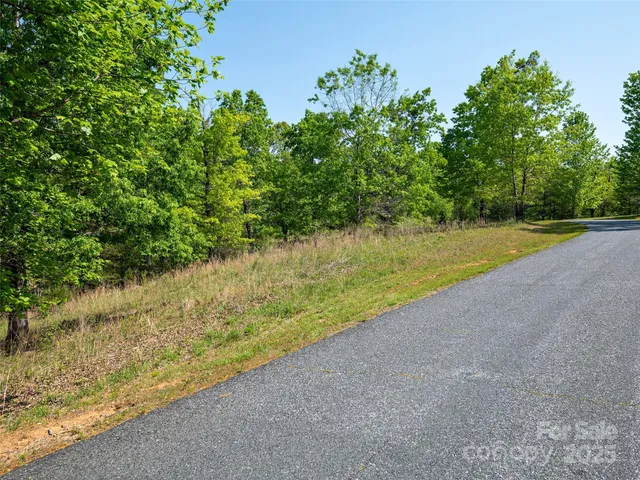 $77,900 | Lot 17-1 Village Park Ln Mill Spring, Mill Spring, NC 28756