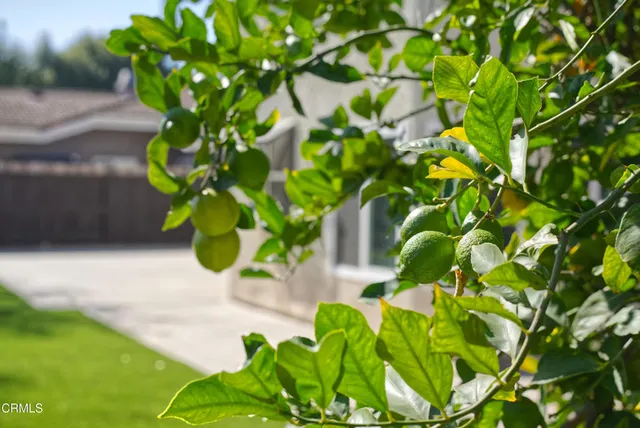 $4,425 | 614 Gilbert Street, Newbury Park, CA 91320