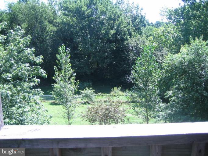 196 Troy Road Louisa, VA 23093 - Photo 13 of 22 Deck - View from