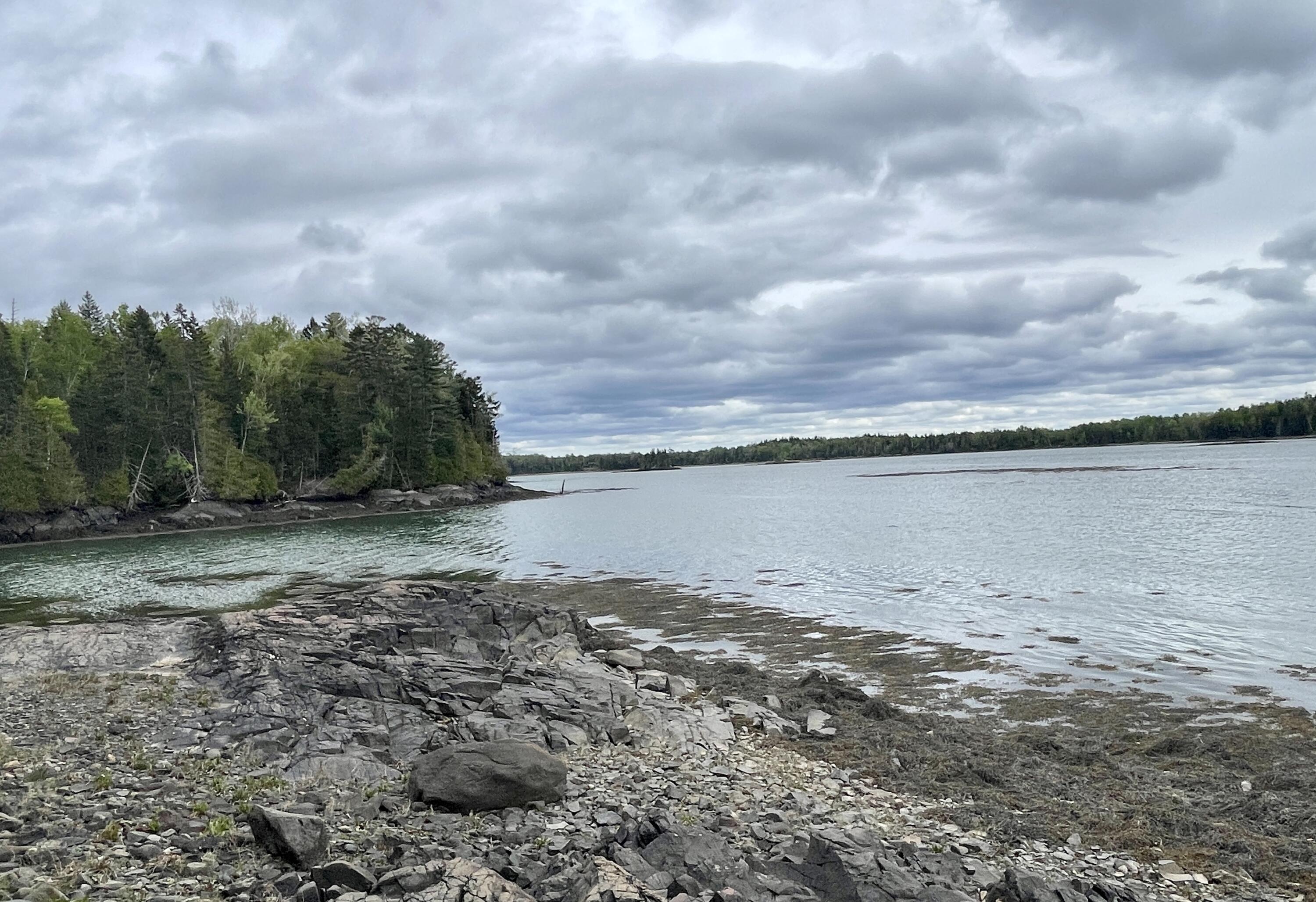 800 Straight Bay Road Lubec, ME 04652 - Photo 119 of 148 IMG_3205