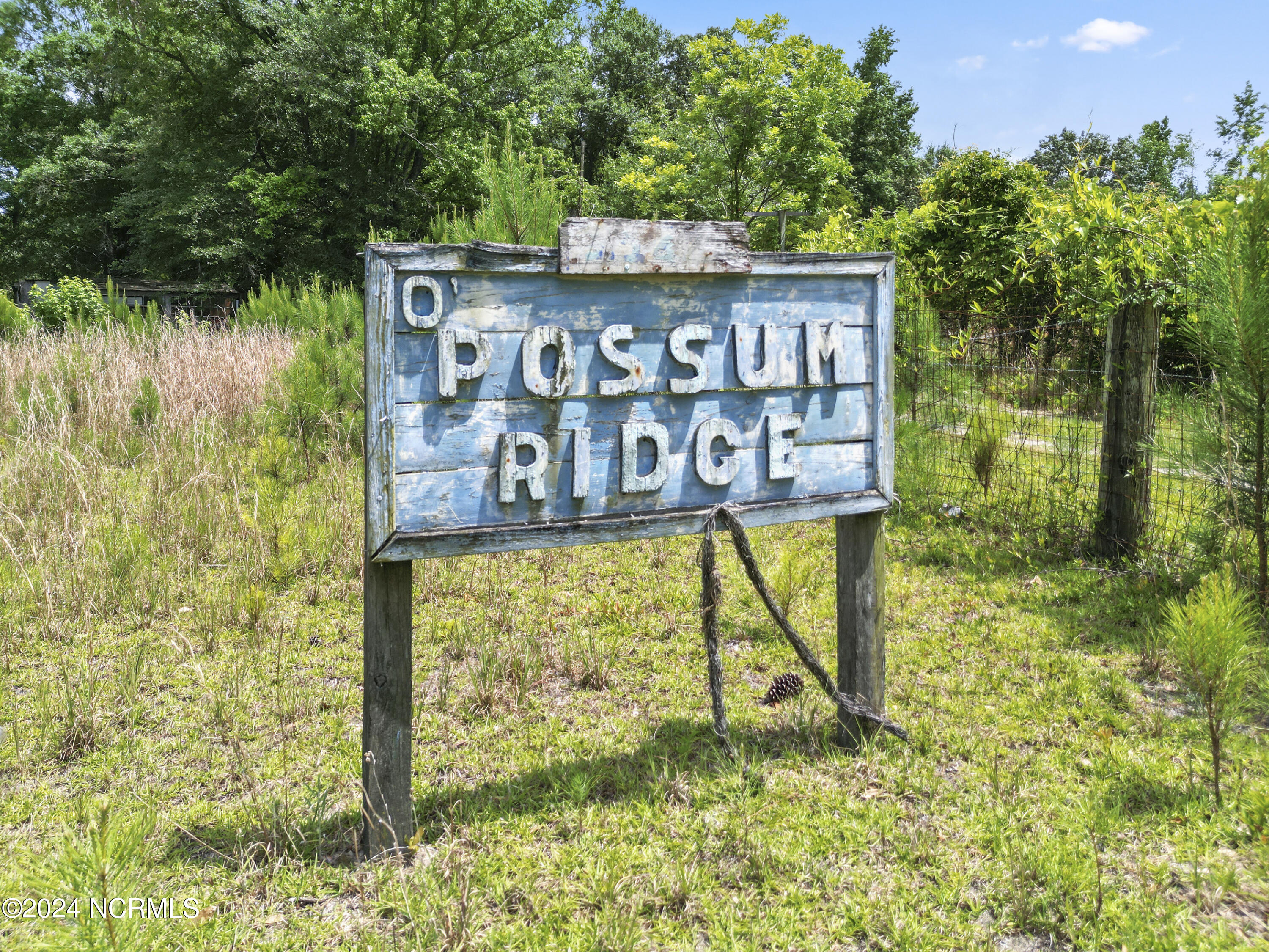224 Possum Ridge Road Rocky Point, NC 28457 - Photo 17 of 27 mls-DJI_0026