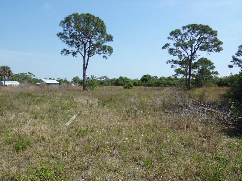 0 South Rock Road Fort Pierce, FL 34945 - Photo 1 of 13 South Rock Rd 5.1 acres 011