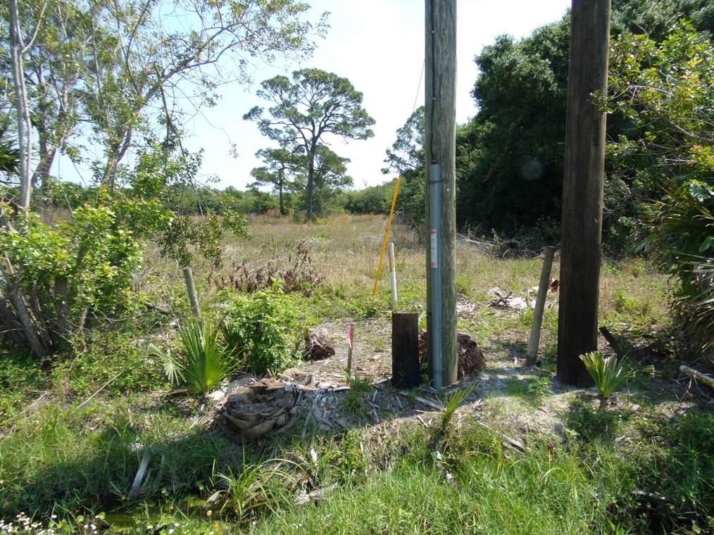 0 South Rock Road Fort Pierce, FL 34945 - Photo 5 of 13 South Rock Rd 5.1 acres 008