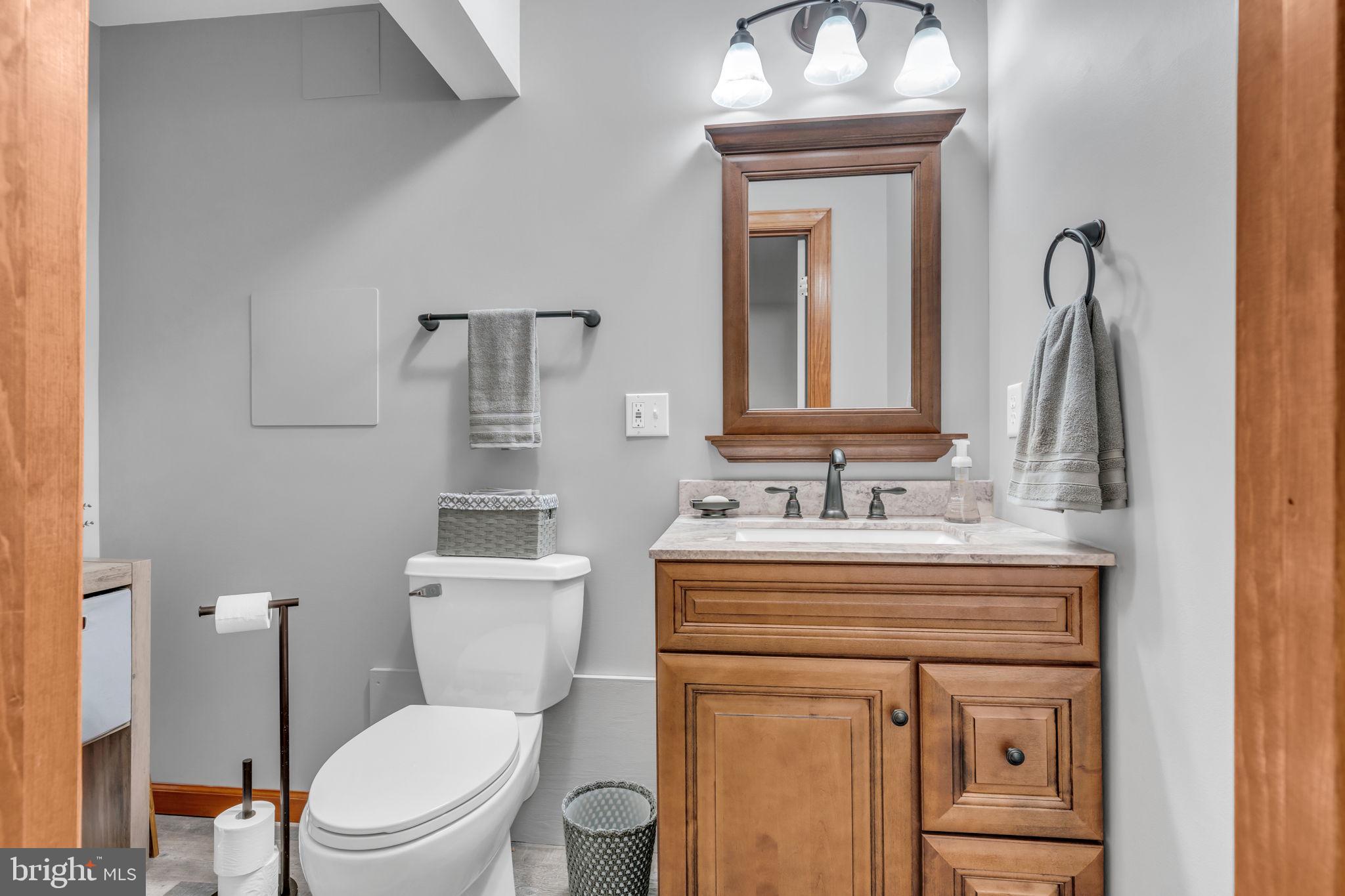 112 Big Pond Road Shippensburg, PA 17257 - Photo 28 of 29 LOWER LEVEL BATH