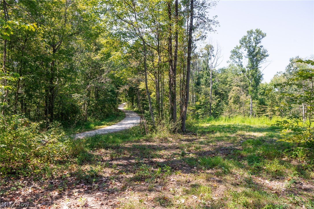 0 County Road Glouster, OH 45732 - Photo 7 of 24 Gallery Image 7