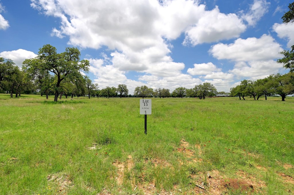 15 Silas Trail, Unit 15 Fredericksburg, TX 78624 - Photo 2 of 7 a backyard of a house with lots of green space and plants
