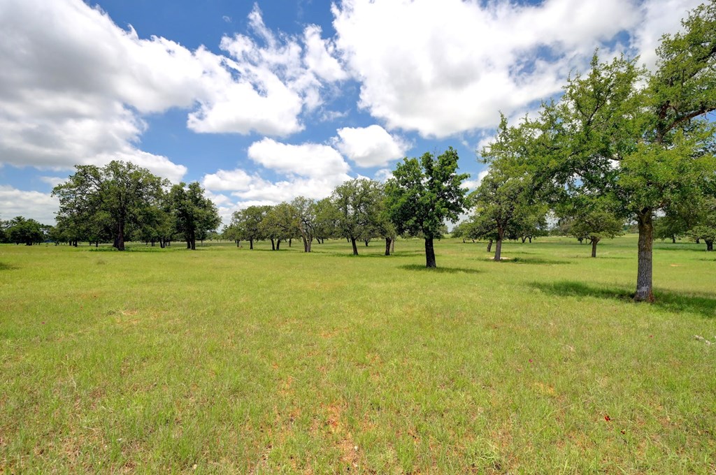 15 Silas Trail, Unit 15 Fredericksburg, TX 78624 - Photo 3 of 7 a view of grassy field with benches