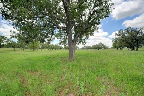 a view of grassy field with benches