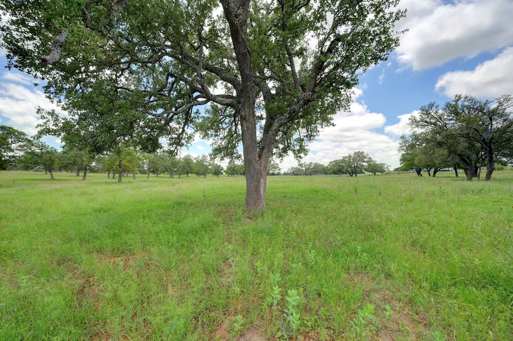 15 Silas Trail, Unit 15 Fredericksburg, TX 78624 - Photo 4 of 7 a view of grassy field with benches