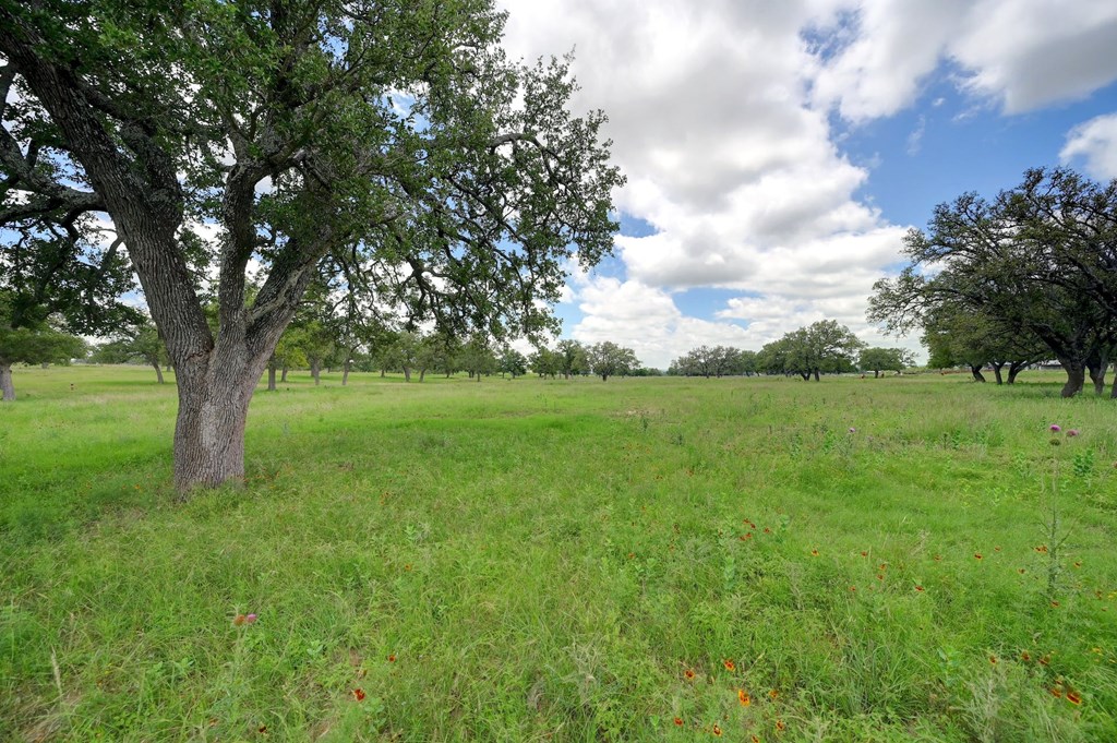 15 Silas Trail, Unit 15 Fredericksburg, TX 78624 - Photo 5 of 7 a view of a yard with a tree