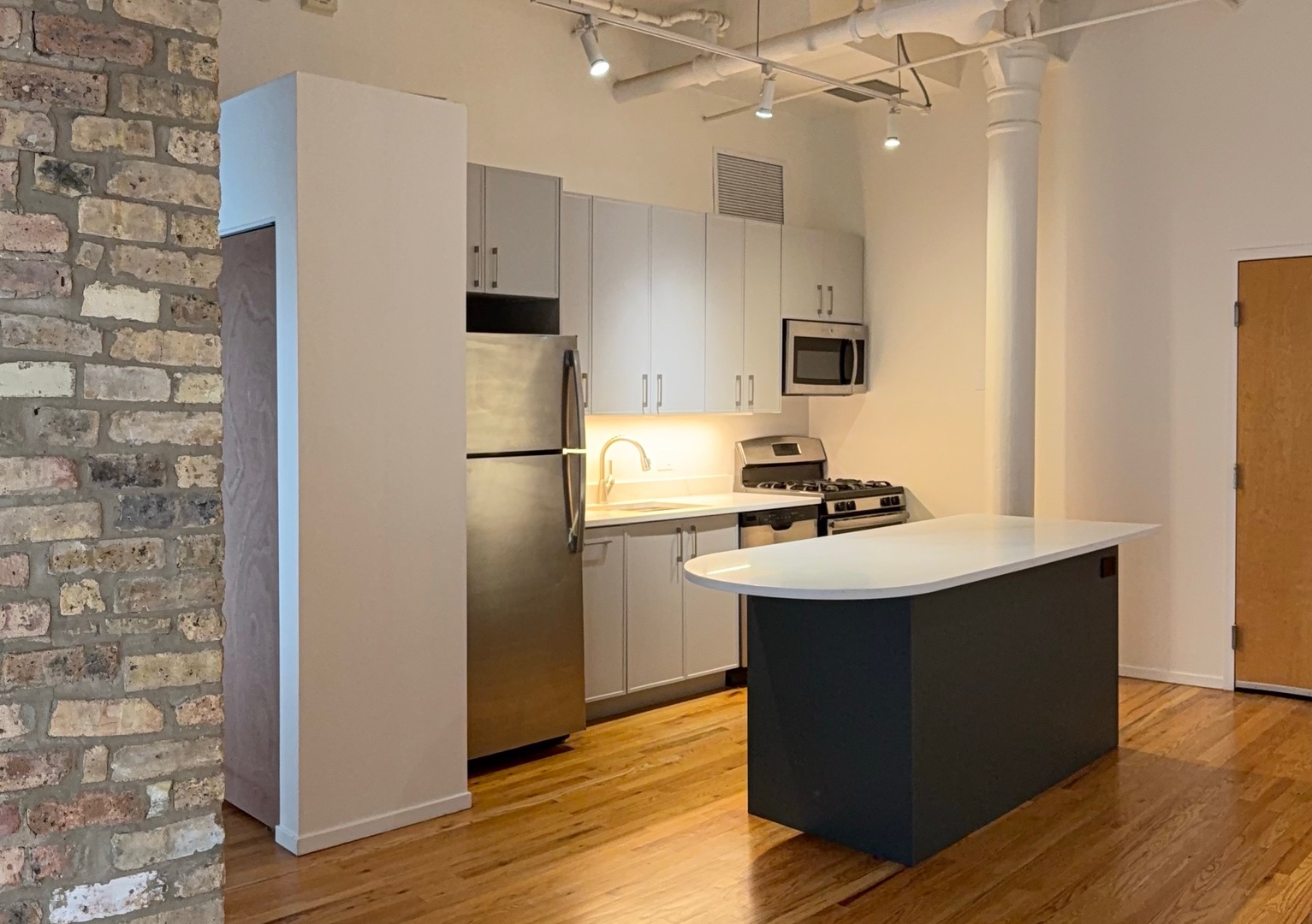 420 South Clinton Street, Unit 110A Chicago, IL 60607 - Photo 2 of 14